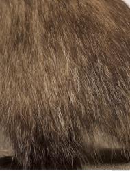 Photo Textures of Fur